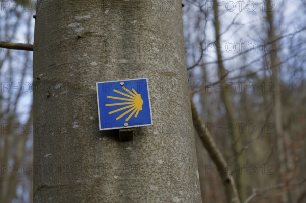 Way of St James, hiking, Kochersteig, Geislingen, Braunsbach-Geislingen, Nordic walking, Kocher