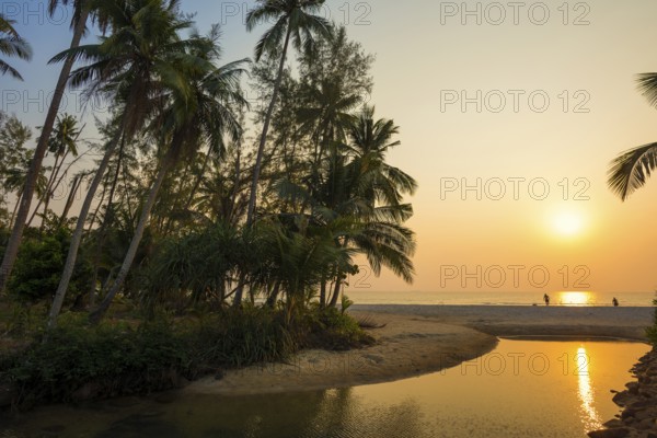 Sandy beach beach with coconut palms, Ao Phrao Beach, sunset, Koh Kood, Koh Kut, Gulf of Thailand,
