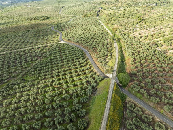 Cycle path Via Verde Del Aceite, old railroad track passes through olive fields, near village