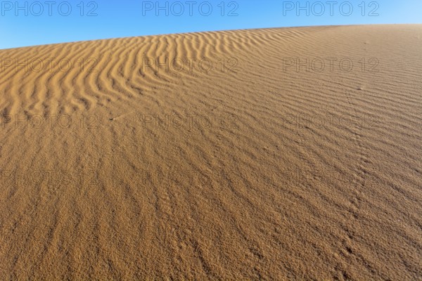 A sandy desert with a blue sky in the background. The sand is ribbed and has a slight slope.