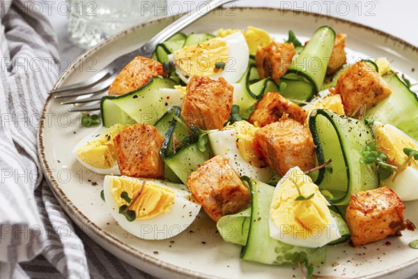 Delicious salmon and egg salad served on a plate with fresh cucumber and herbs for a healthy meal