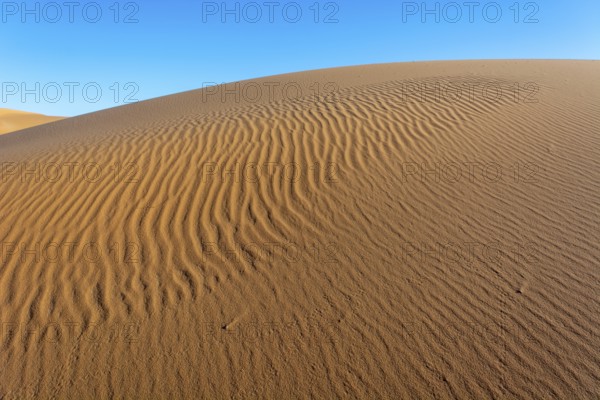 A sandy desert with a blue sky in the background. The sand is ribbed and has a slight slope.