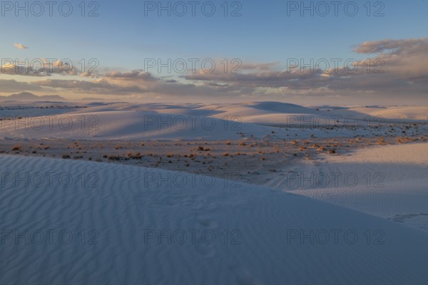 Smooth curved sand dunes in evening light at White Sands National Park in Alamogordo, New Mexico,