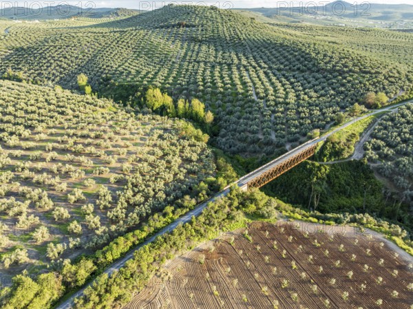 Cycle path Via Verde Del Aceite, old railroad track passes through olive fields, cycle path on