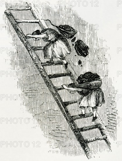 Women transporting coal to the surface in the mines of eastern Scotland in the 19th century. From