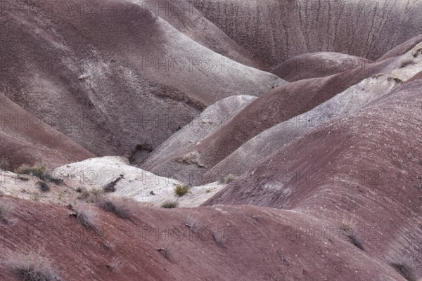Colorful deposits of the Chinle Formation exposed at Little Painted Desert County Park near