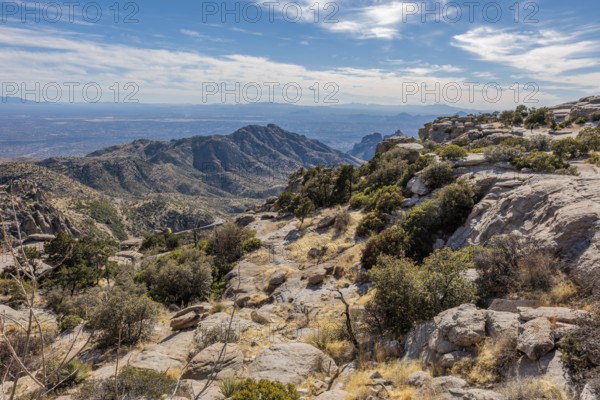 Windy Point Vista offers a view of Tucson from the Catalina Mountains along the Mt Lemmon Highway