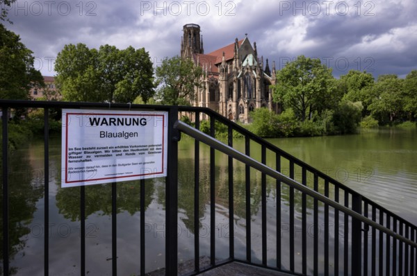 Sign, warning of blue-green algae, water is green, Johanneskirche, Feuersee, Stuttgart-West,