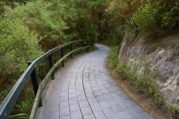 Curved stone path with railings through a green forest landscape, Wai-O-Tapu Thermal Wonderland,