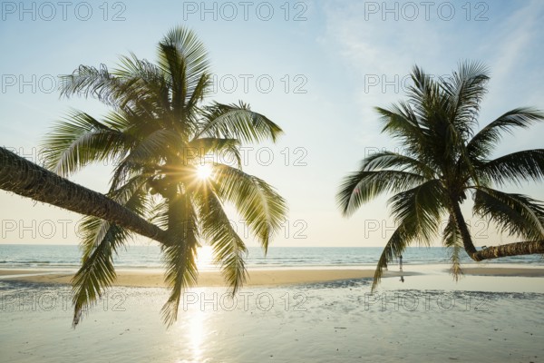 Sandy beach beach with coconut palms, Khlong Chao Beach, sunset, Koh Kood, Koh Kut, Gulf of
