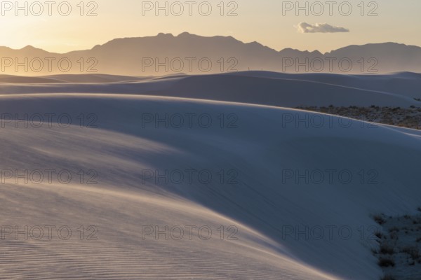 Smooth curved sand dunes in evening light at White Sands National Park in Alamogordo, New Mexico,