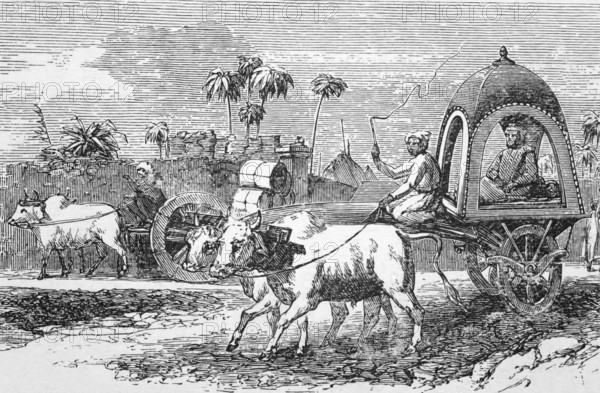 Cart drawn by oxen, Bombay, Mumbai, around 1870, India, digital reproduction of a historical model,