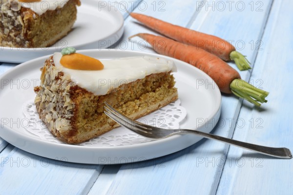 Carrot cake and carrots on a plate, carrot cake, carrot cake
