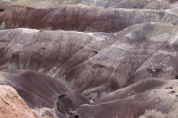 Colorful deposits of the Chinle Formation exposed at Little Painted Desert County Park near