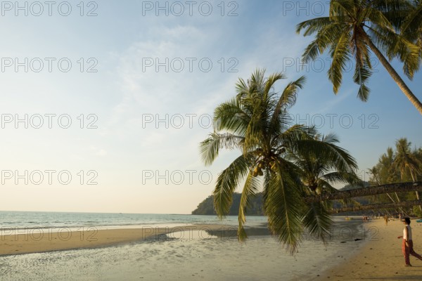 Sandy beach beach with coconut palms, Khlong Chao Beach, sunset, Koh Kood, Koh Kut, Gulf of