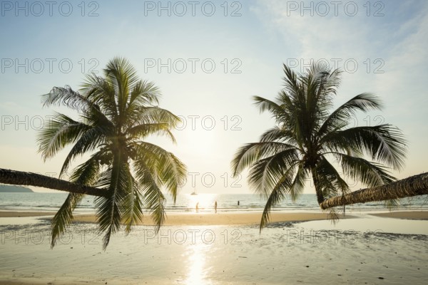 Sandy beach beach with coconut palms, Khlong Chao Beach, sunset, Koh Kood, Koh Kut, Gulf of