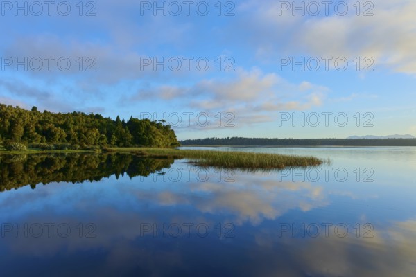 Blue sky and clouds reflected in a calm lake with a forested shore, Lake Mahinapua, Ruatapu, South