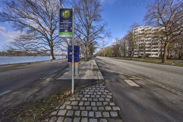 Bus stop Maschsee - Altenbekener Damm, bare wintry trees, general architecture, residential