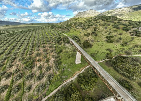 Cycle path Via Verde Del Aceite, old railroad track passes through olive fields, cycle path on