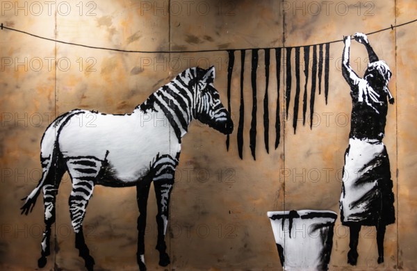 Banksy - Washing Zebra Stripes, Identity, Change and Perception, 2008, Timbuktu, Mali, exhibition