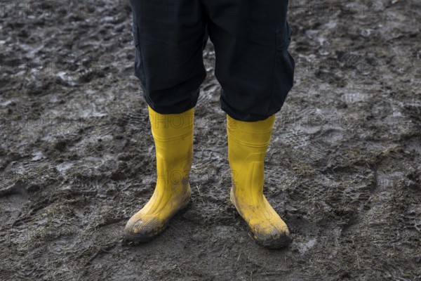 Festival visitors with yellow rubber boots in the mud at the Rock am Ring Festival on Sunday,