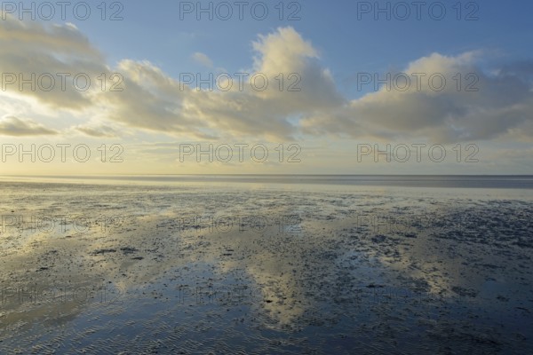 North Sea, Wadden Sea at low tide, blue sky with low clouds (cumulus), Norddeich, Lower Saxony,