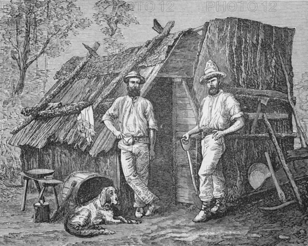 Gold diggers next to their bark hut, around 1870, Australia, digital reproduction of a historical