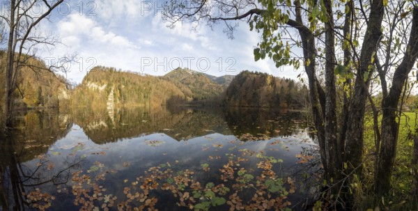 Autumn atmosphere at Krottensee, Schafberg in the background, near Sankt Gilgen, Salzkammergut,