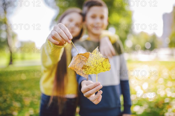 Happy twins teenagers boy and girl posing hugging each other in autumn park holding fallen yellow