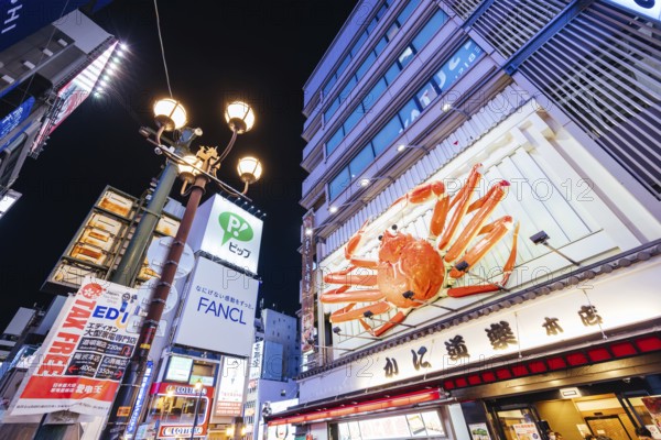 OSAKA, JAPAN - SEPTEMBER 24 2024: Osaka's famous Dotonbori area with many restaurants and iconic