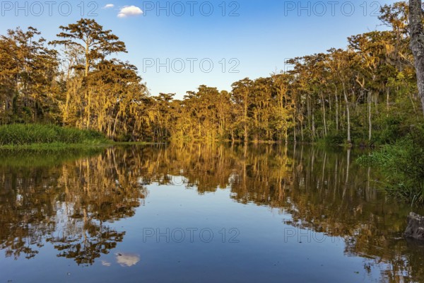 Magnificent reflections in the mirror water. Sunset. New Orleans area. Swamps of Louisiana. Journey