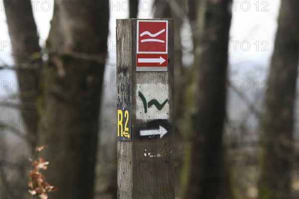 Markings for the Rothaarsteig, Westerwaldsteig and R2 hiking trails on the Fuchskaute, the highest
