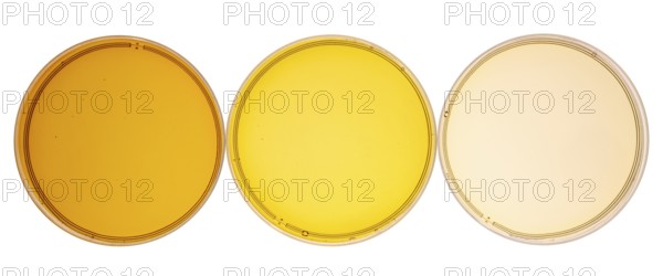 Sampler of pure maple syrup (golden, amber and gold) - three small glass bottles on a ceramic