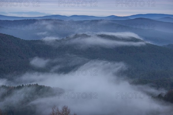 Landscape shot with cloudy sky and fog in the valley. View from a rock in the middle of forest and
