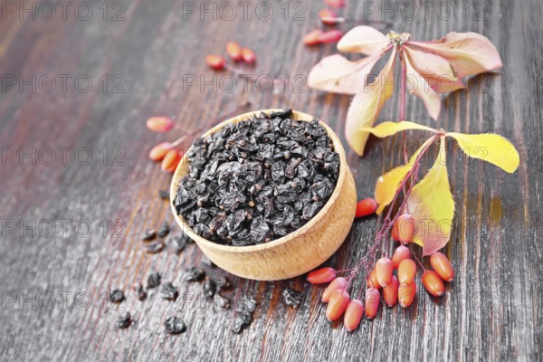 Dried black barberry in a bowl, sprigs with fresh berries and leaves on dark brown wooden board