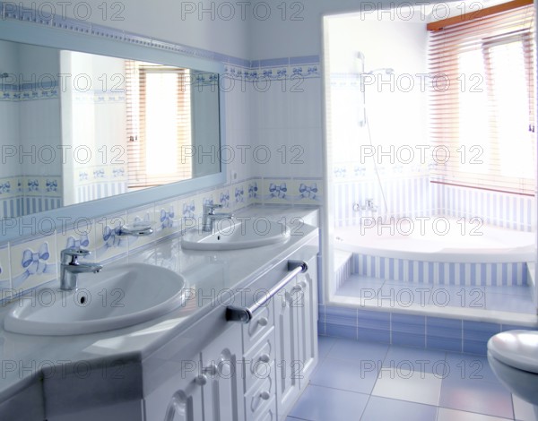 Classic blue bathroom interior tiles decoration window light