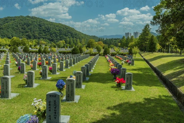 Daejeon, South Korea, September 19, 2019: Rows of numbered headstones at national cemetery with