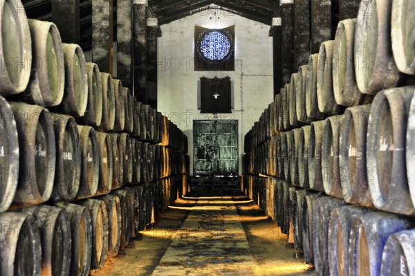 Bodega Pedro Romero, Sanlucar de Barrameda, Cadiz province, rows of wooden barrels in a rustic