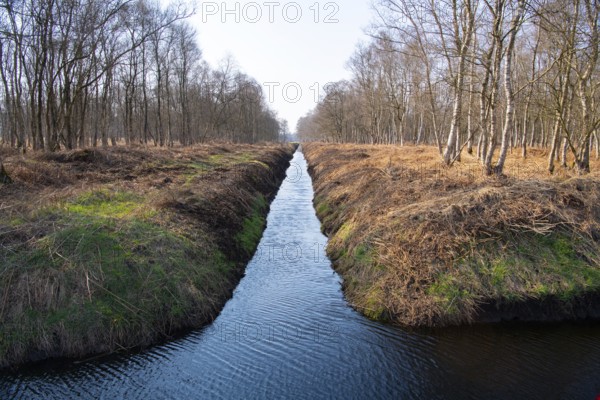 Drainage ditch in a moor, environmental damage, Lower Saxony, Germany, Europe