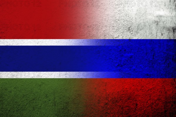 National flag of Russian Federation with The Republic of The Gambia National flag. Grunge