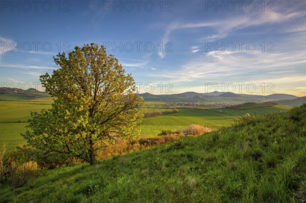 Spring morning in Central Bohemian Highlands.It is a mountain range located in northern Bohemia in