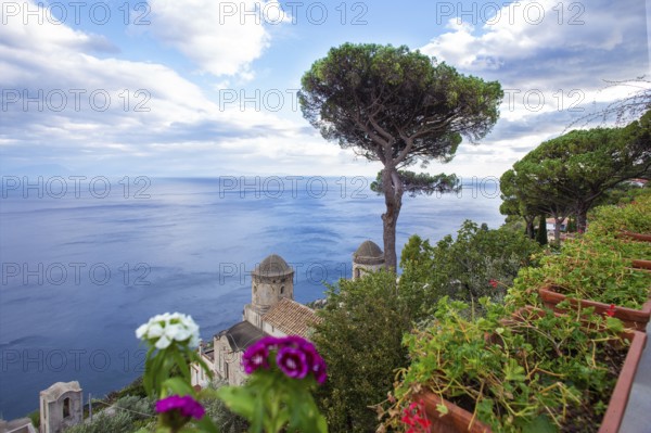 Amazing view from villa ? Rufolo on Mediterranean Sea and some old building and Pine trees (pinia)