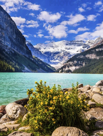 Glacial Lake Louise. Sunny fine day. Travel to the Rocky Mountains of Canada. The lake with azure