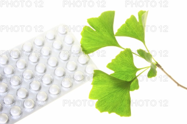 Ginkgo leaves with coated tablets for oral use (symbolic) Leaves of the ginkgo tree and coated