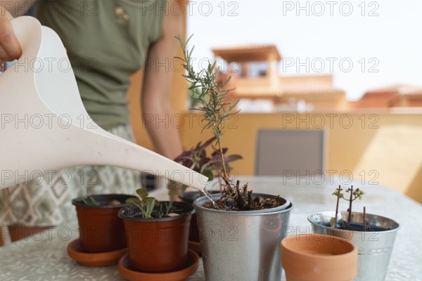 A person waters potted plants on a sunny balcony, focusing on the plants and watering can. DYI