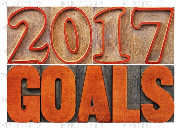 2017 goals banner - New Year resolution concept - isolated text in vintage letterpress wood type