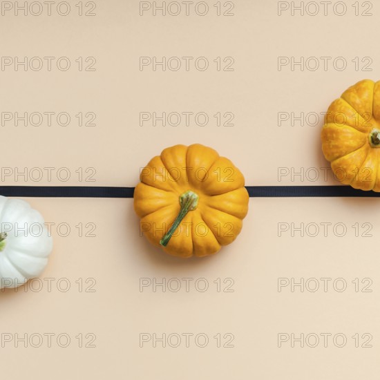 Creative Top view flat lay autumn composition. Frame concept pumpkins color paper background copy