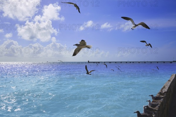 Key west florida beach Clearence S Higgs memorial in USA