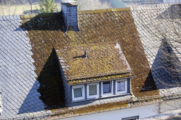 New slate roof without moss and old roof with moss, North Rhine-Westphalia, Germany, Europe, neues