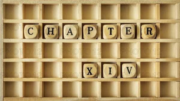 An image of a wooden game with the word chapter fourteen